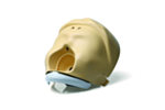 Laerdal Stackable Little Anne Schedel voorkant & Kaak (Licht) 