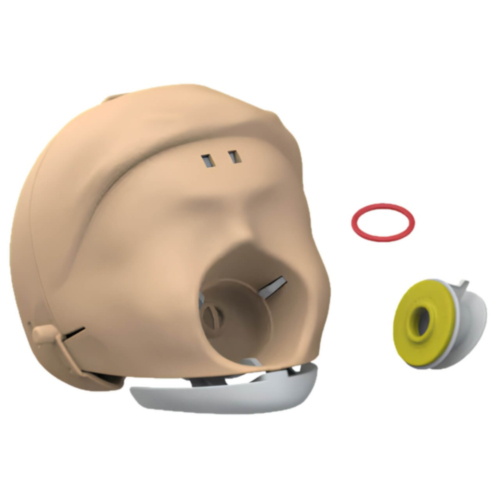 Laerdal Little Anne complete schedel licht inclusief kaak 