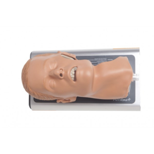 Ambu® Airway Management Trainer - 10901
