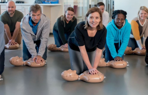 Laerdal Mini Anne Plus (Unicolor)