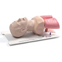 Laerdal-trainer voor luchtwegbeheer bij volwassenen